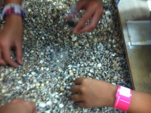 last day in the bahamas 2014 007