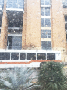 SPRING BREAK 2015 333