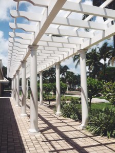 Processed with VSCOcam with f2 preset