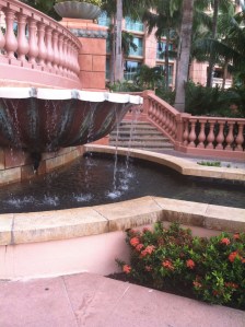 trip to LA 2014 SUMMA 002