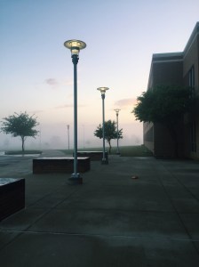 Processed with VSCOcam with c1 preset